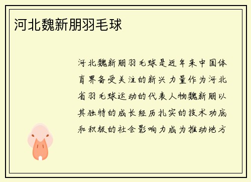 河北魏新朋羽毛球