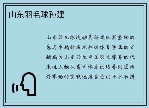 山东羽毛球孙建
