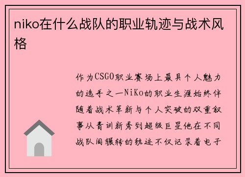 niko在什么战队的职业轨迹与战术风格