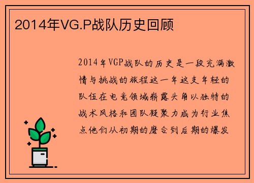 2014年VG.P战队历史回顾